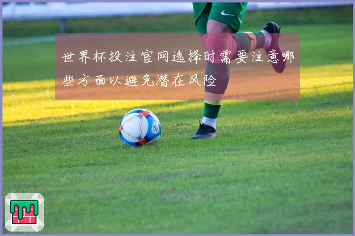 世界杯投注官网选择时需要注意哪些方面以避免潜在风险