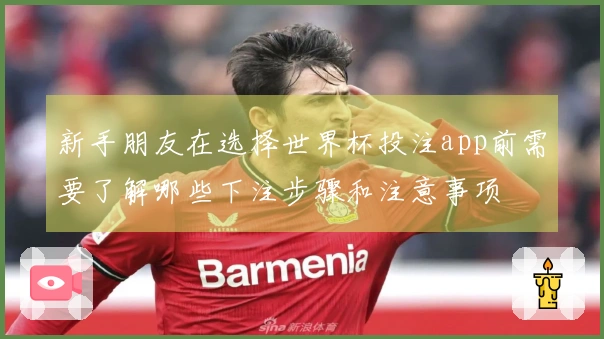 新手朋友在选择世界杯投注app前需要了解哪些下注步骤和注意事项