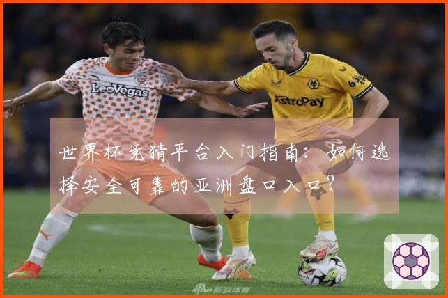 世界杯竞猜平台入门指南:如何选择安全可靠的亚洲盘口入口?