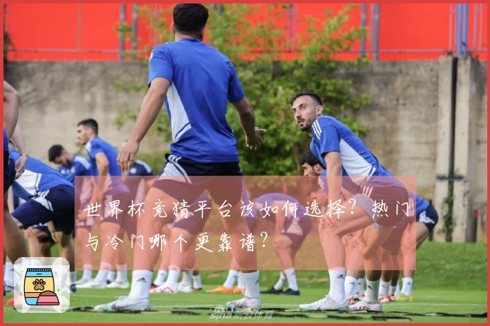 世界杯竞猜平台该如何选择？热门与冷门哪个更靠谱？