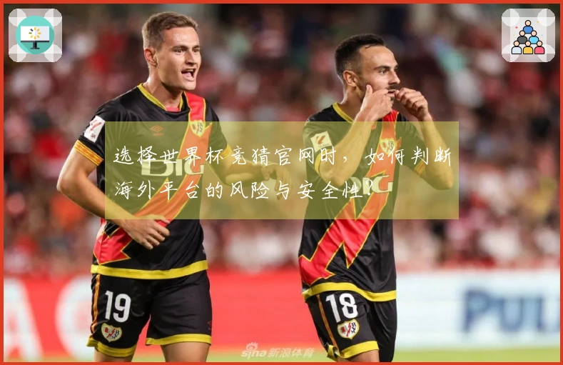 选择世界杯竞猜官网时，如何判断海外平台的风险与安全性？