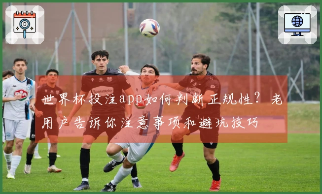 世界杯投注app如何判断正规性？老用户告诉你注意事项和避坑技巧