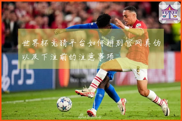 世界杯竞猜平台如何辨别官网真伪以及下注前的注意事项