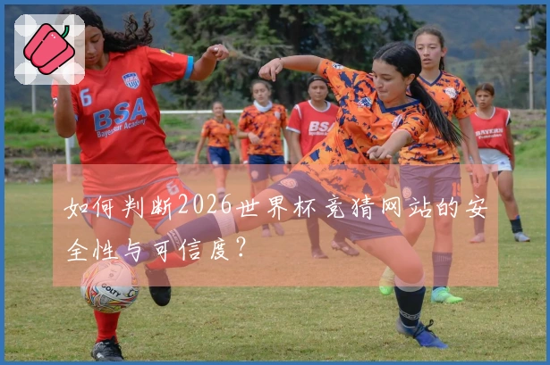如何判断2026世界杯竞猜网站的安全性与可信度？