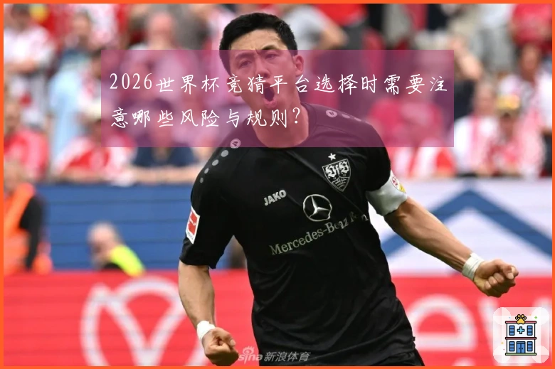 2026世界杯竞猜平台选择时需要注意哪些风险与规则？