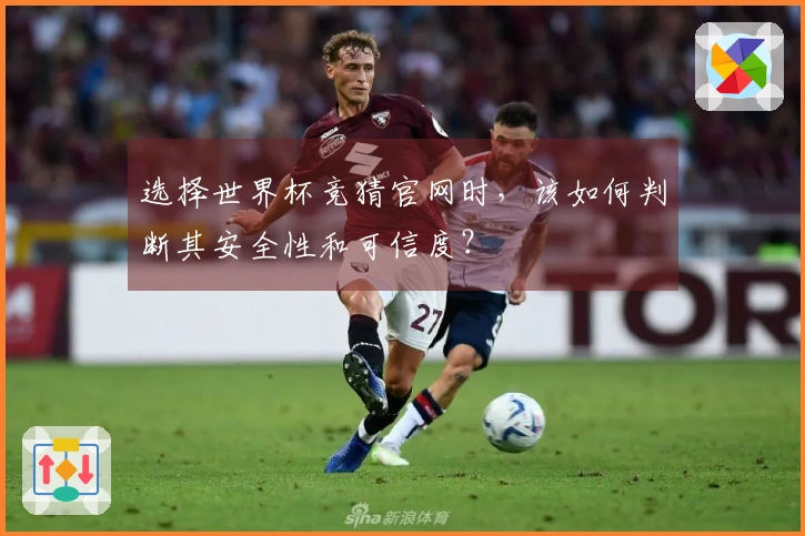 选择世界杯竞猜官网时，该如何判断其安全性和可信度？