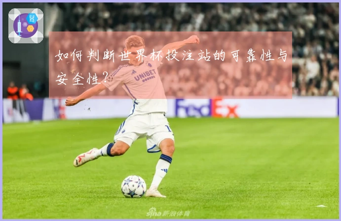 如何判断世界杯投注站的可靠性与安全性？