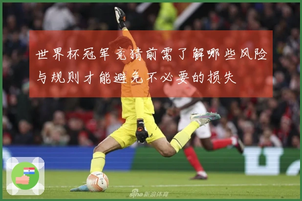 世界杯冠军竞猜前需了解哪些风险与规则才能避免不必要的损失