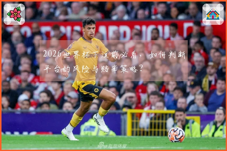 2026世界杯下注前必看，如何判断平台的风险与赔率策略？
