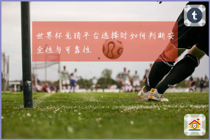 世界杯竞猜平台选择时如何判断安全性与可靠性