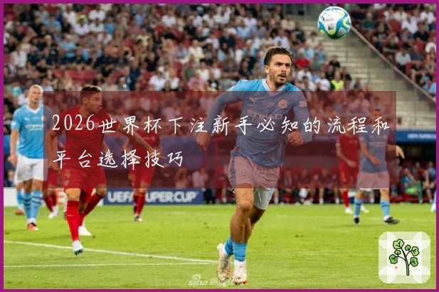2026世界杯下注新手必知的流程和平台选择技巧