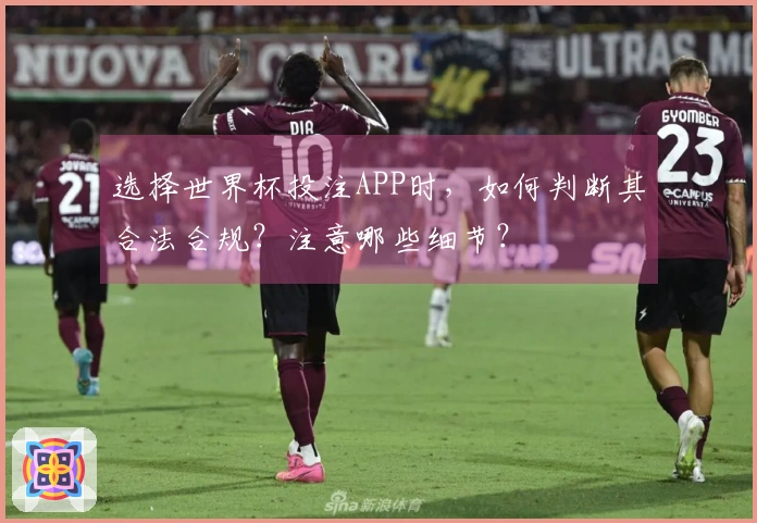 选择世界杯投注APP时，如何判断其合法合规？注意哪些细节？