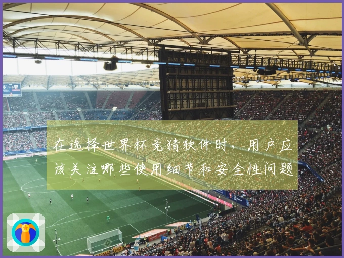 在选择世界杯竞猜软件时，用户应该关注哪些使用细节和安全性问题？