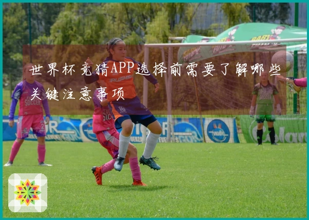 世界杯竞猜APP选择前需要了解哪些关键注意事项