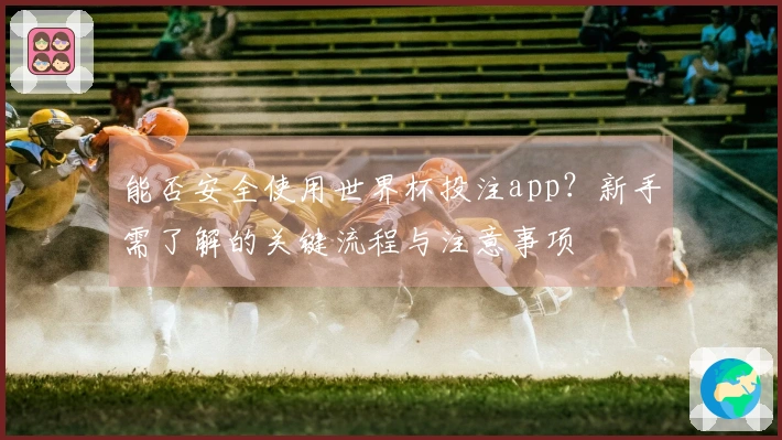 能否安全使用世界杯投注app？新手需了解的关键流程与注意事项