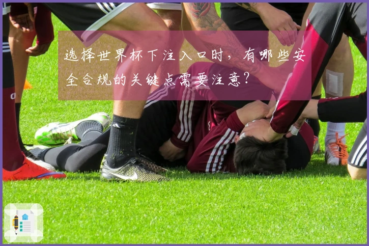 选择世界杯下注入口时,有哪些安全合规的关键点需要注意?