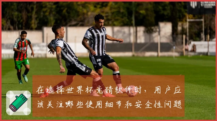 在选择世界杯竞猜软件时,用户应该关注哪些使用细节和安全性问题?