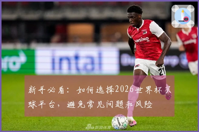 新手必看：如何选择2026世界杯买球平台，避免常见问题和风险