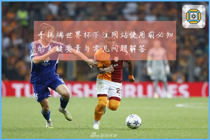 手机端世界杯下注网站使用前必知的关键要素与常见问题解答