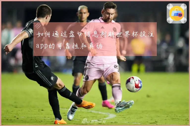 如何通过盘口信息判断世界杯投注app的可靠性和真伪