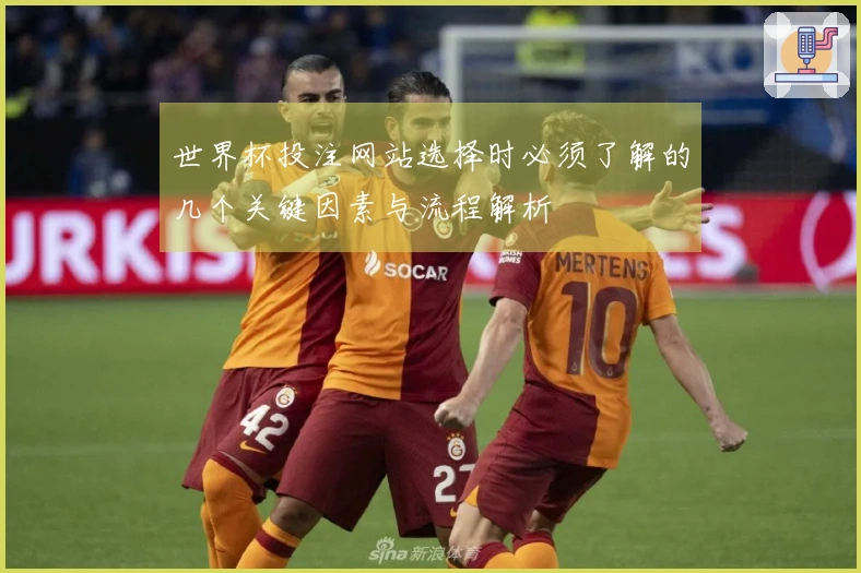 世界杯投注网站选择时必须了解的几个关键因素与流程解析