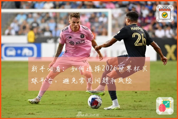 新手必看：如何选择2026世界杯买球平台，避免常见问题和风险