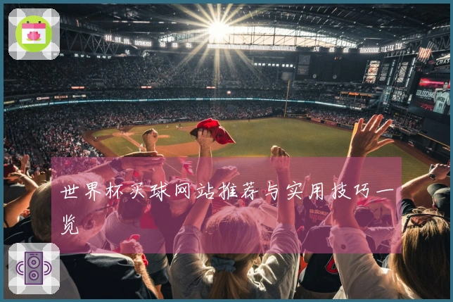 世界杯买球网站推荐与实用技巧一览