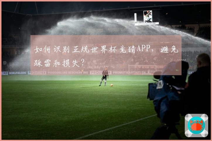 如何识别正规世界杯竞猜APP，避免踩雷和损失？