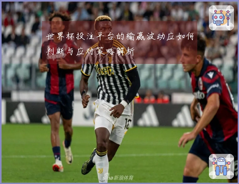 世界杯投注平台的输赢波动应如何判断与应对策略解析