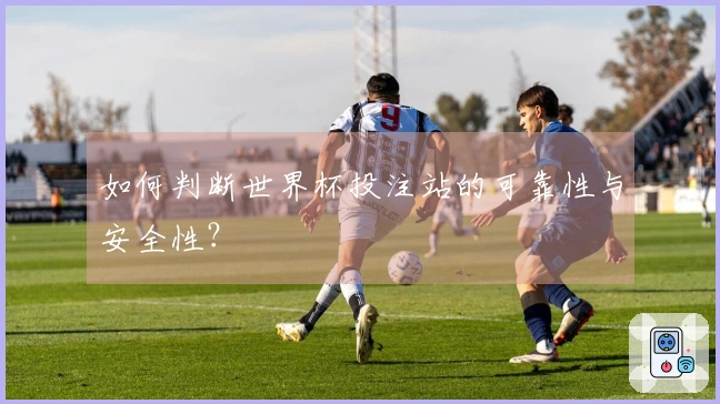如何判断世界杯投注站的可靠性与安全性？